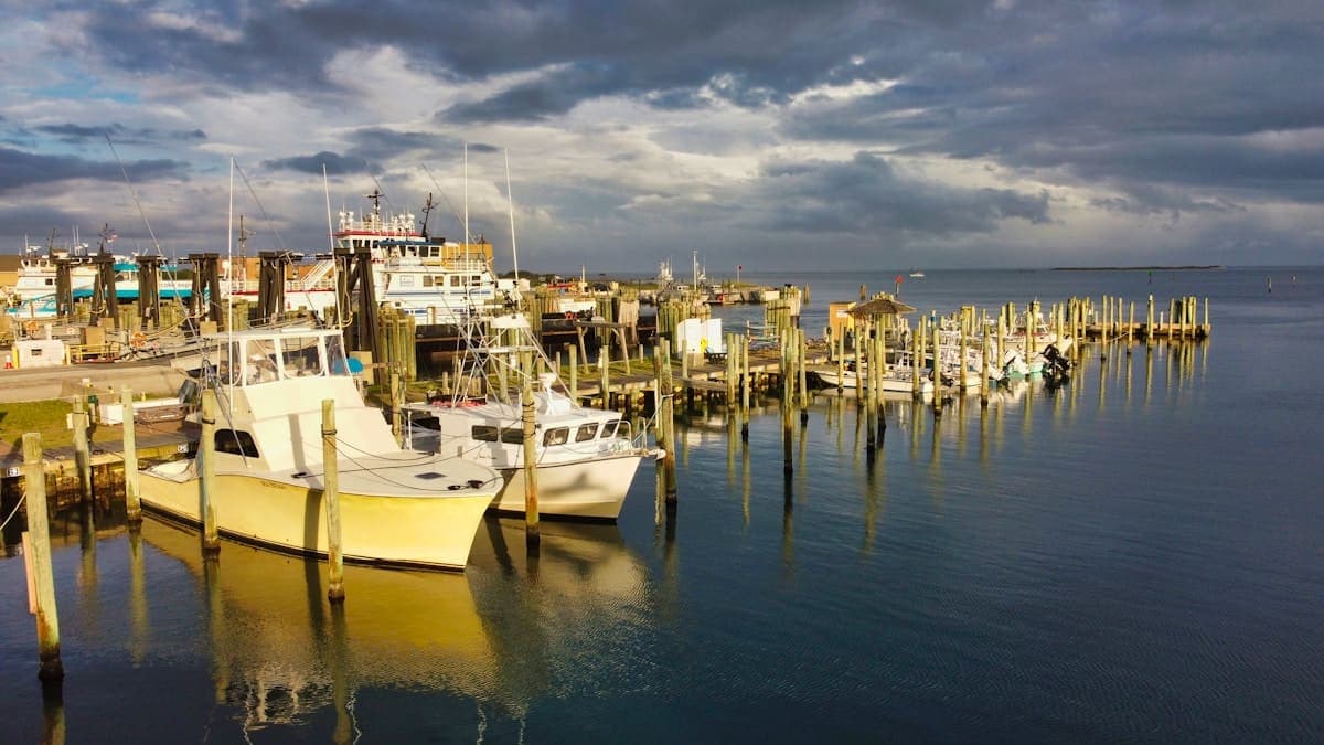 Sportfishing charter boats moored in the marina at sunset